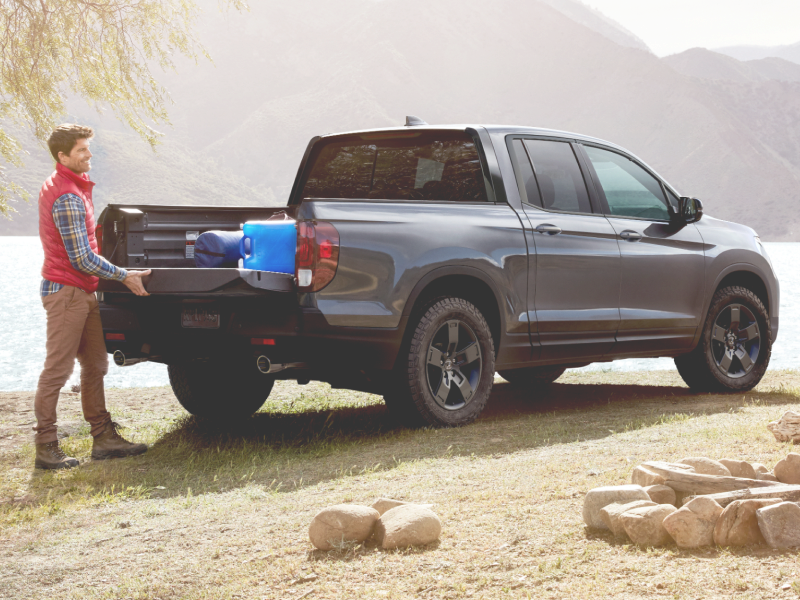 Modèle Ridgeline montré