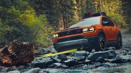 Passport model shown