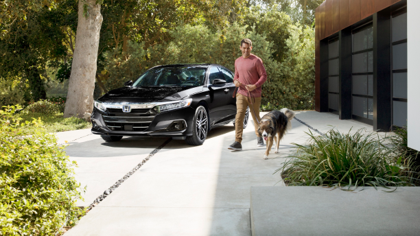 3/4 view of black Accord Hybrid in driveway. Man with dog on leash near it.
