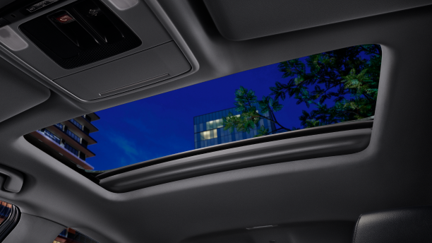 Worm's eye view of open moonroof showcasing city buildings and tree branches at night.