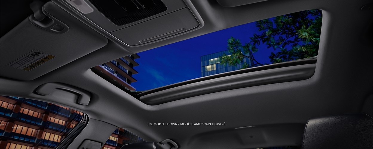 Worm's eye view of open moonroof showcasing city buildings and tree branches at night. 
