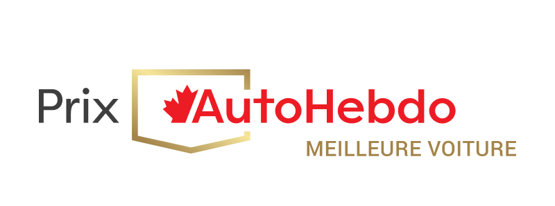 Best overall car award logo