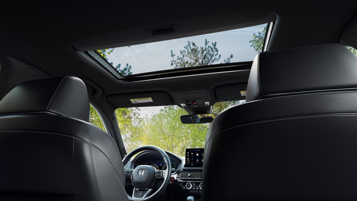 3/4 worm’s eye view of open moonroof showing various trees.