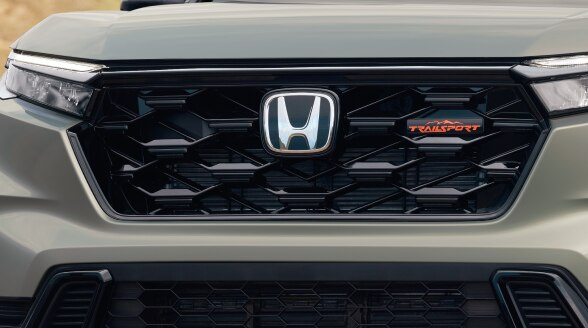 Close up of a Honeycomb Grille  on a green CR-V