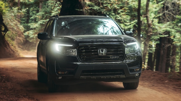 Front view of black Passport Black Edition driving toward camera on dirt forest road amid trees.