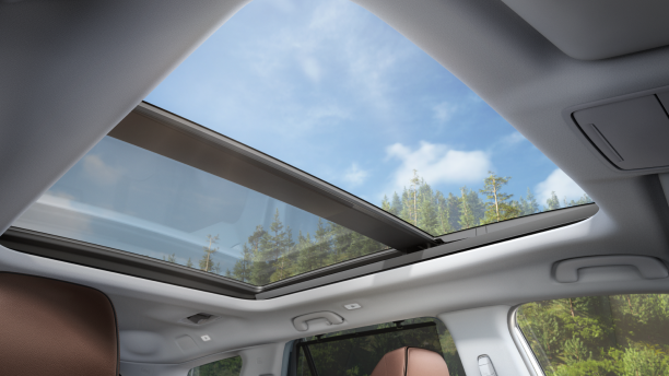 Worm’s eye view from inside a Pilot, showcasing the open panoramic moonroof