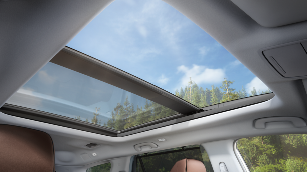 Worm’s eye view from inside a 2023 Honda Pilot, showcasing the open panoramic moonroof