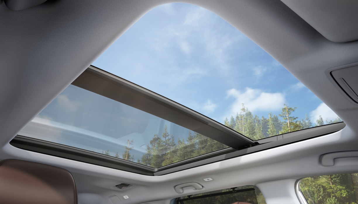 A view from the Pilot’s interior, looking upwards at blue skies and trees through the panoramic moonroof.