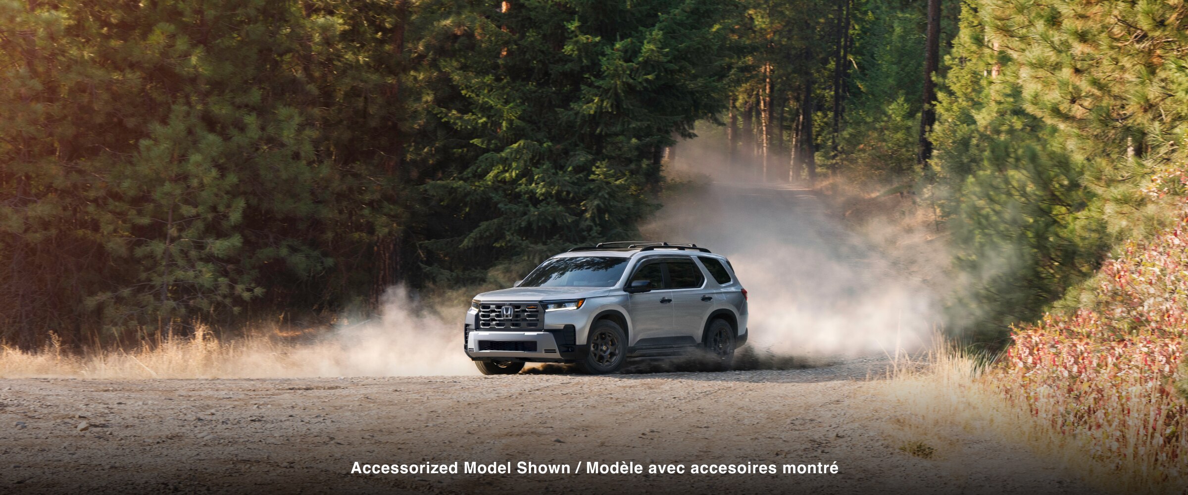 Vue de trois quarts avant d’un Pilot argenté roulant sur un chemin de terre à travers une forêt, avec de la poussière soulevée par ses roues. 