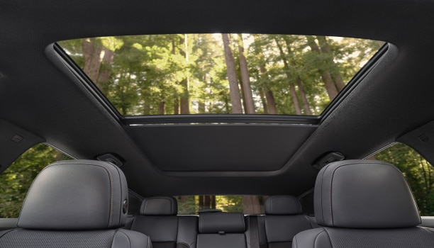 Interior worm’s eye view of open panoramic moonroof, where we see tall temperate forest trees.