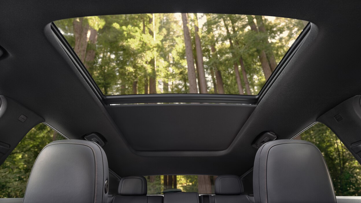 Interior worm’s eye view of open panoramic moonroof, where we see tall temperate forest trees.