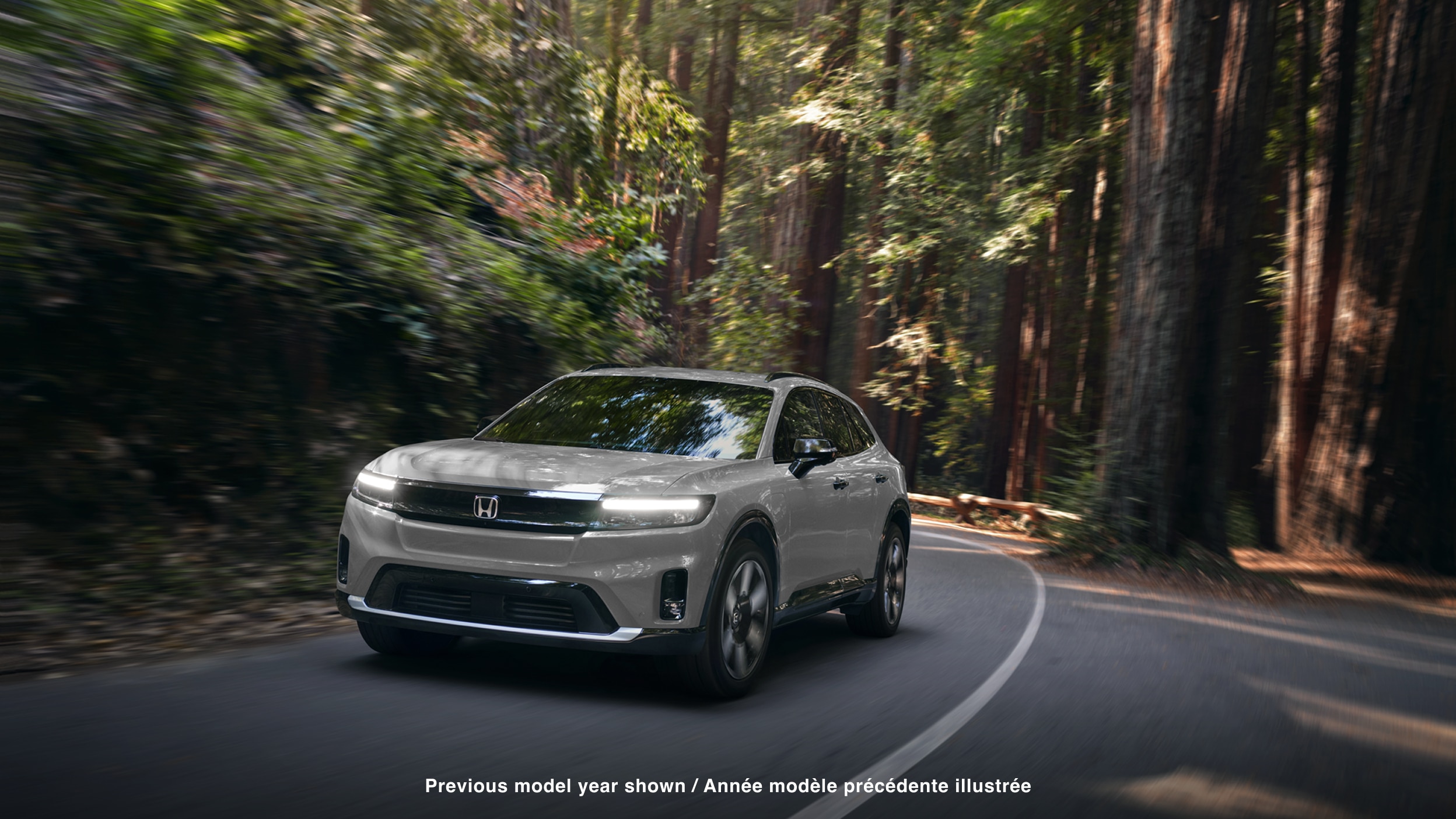 Plan de trois quarts avant d’un Prologue blanc prenant un virage sur une route pavée dans une forêt tempérée.