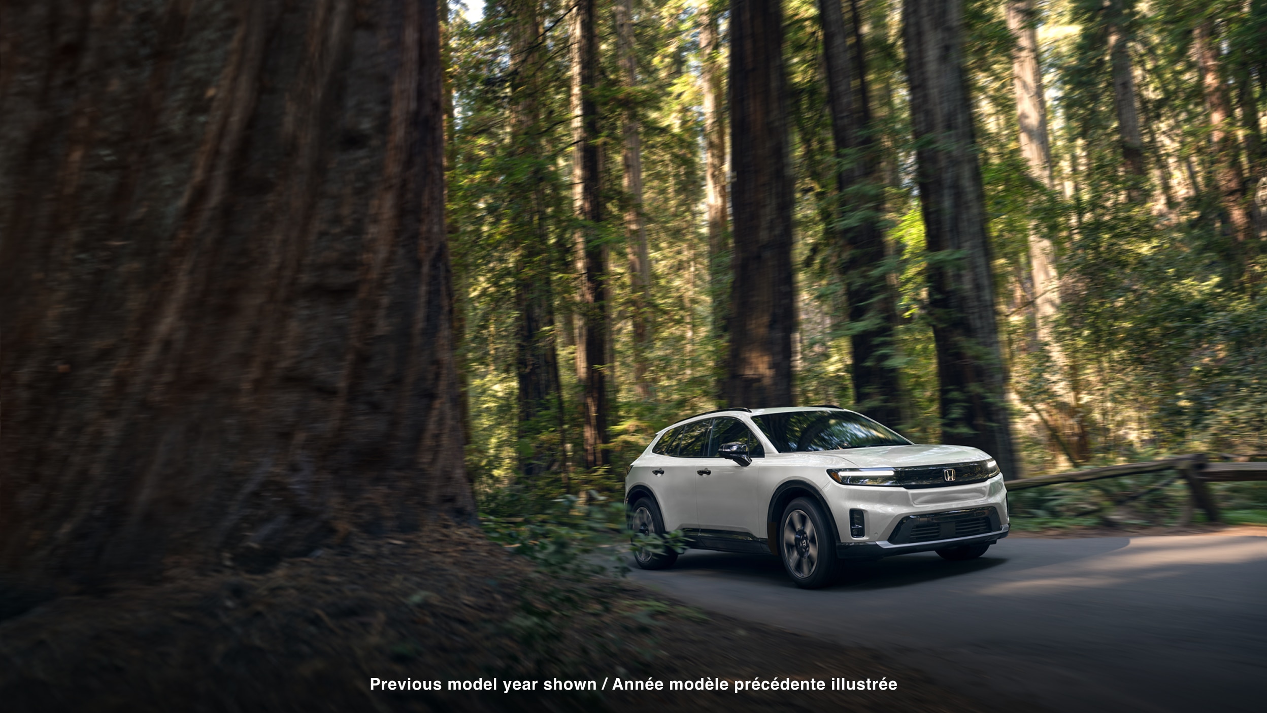 Plan latéral de trois quarts avant d’un Prologue blanc roulant sur une route pavée dans une forêt tempérée.
