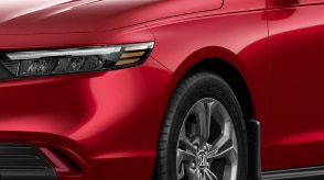 Dent and Ding Protection