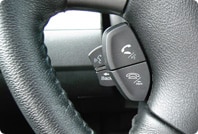 Steering Wheel Controls
